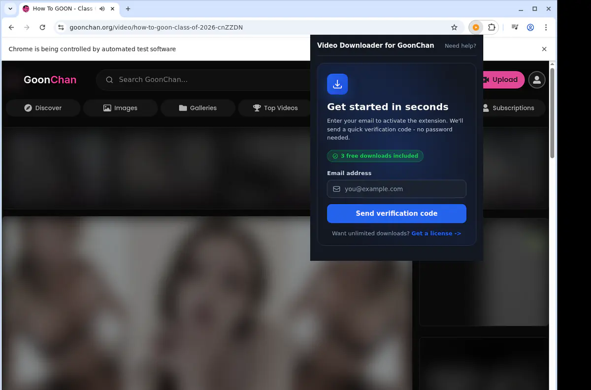 Goonchan Video Downloader browser extension screenshot 5